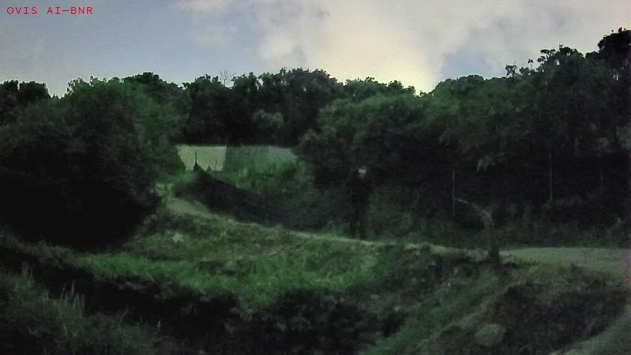 Low-light image enhancement